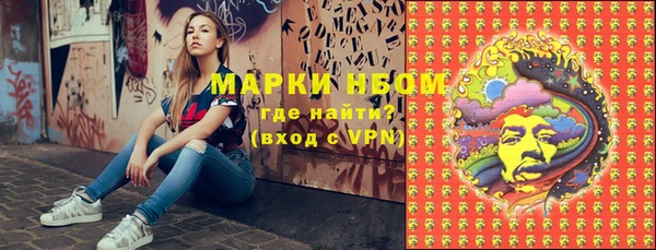 стафф Алзамай