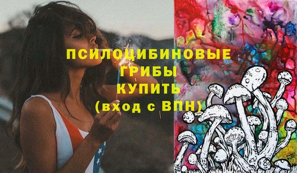 ешки Арсеньев