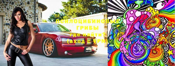 стафф Алзамай