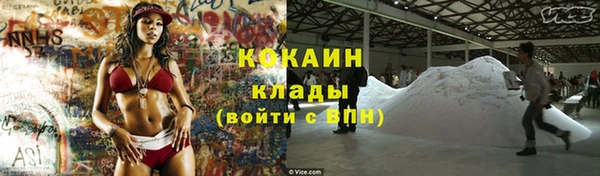 стафф Алзамай