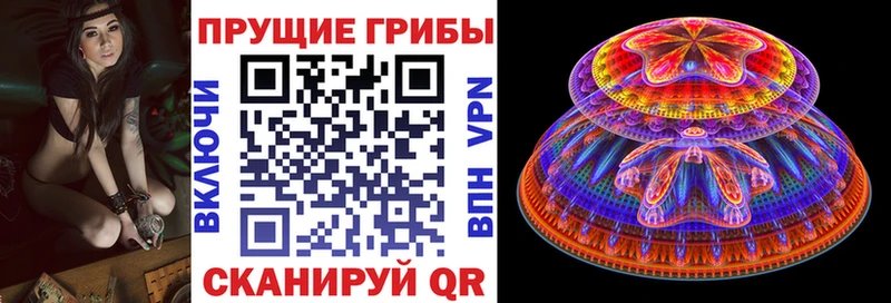 Галлюциногенные грибы Magic Shrooms Цимлянск